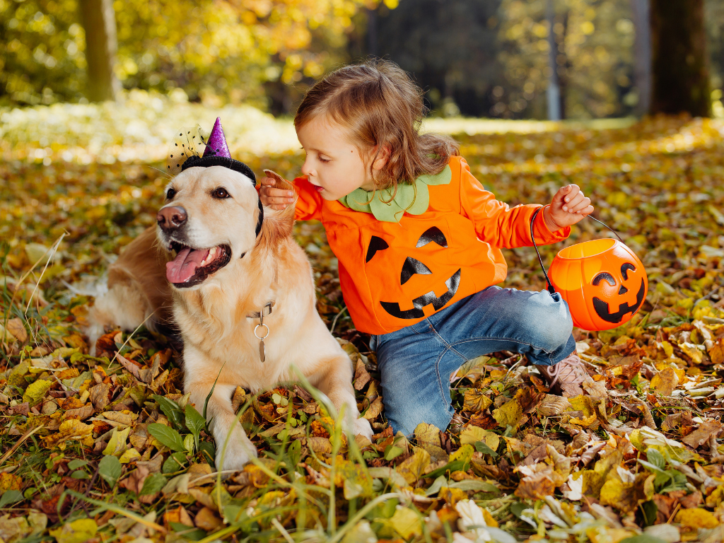 🎃👻 Chime Halloween Event at Clonfert Farm 🎃👻