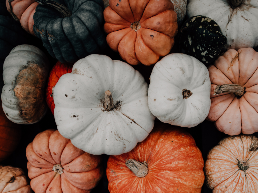 Waterford's Halloween Event